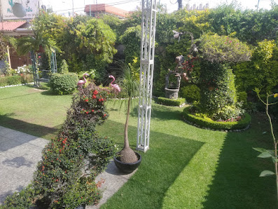 Salón Jardin México Lindo